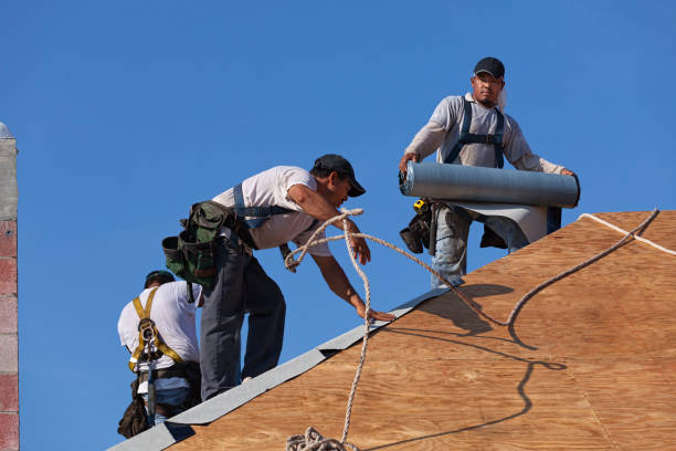 Professional Roofing Contractor in Kirkland, WA
